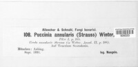 Puccinia annularis image